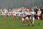 Womens Under-17s 2023 Northern Cross Country Champs., Witton Park, Blackburn. Photo: David T. Hewitson/Sports for All Pics
